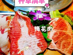 -金顺韩式烤肉·网红烤肉店(广利路店)