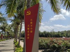 -亚龙湾国际玫瑰谷