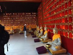 -西双版纳勐泐文化旅游区
