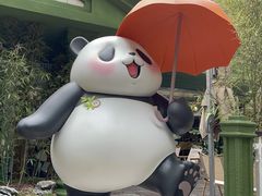 -轩客会(熊猫书店)