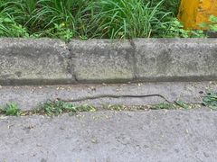 -终南山南五台景区