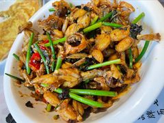 爆炒田鸡-壹盏灯(惠农店)