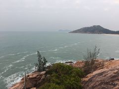 -广东惠东海龟国家级自然保护区