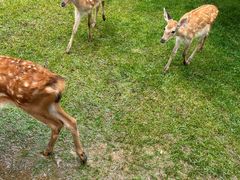 -南戴河国际娱乐中心