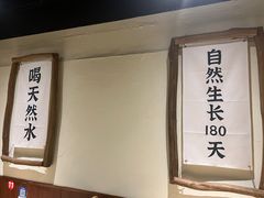 -鲜小岛·铜锅涮肉