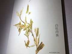 -煮叶(悠唐广场店)