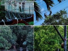-三亚蜈支洲岛旅游区