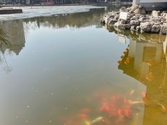 -团结湖公园