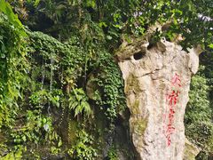 -杭州黄龙洞