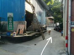 -火炉山森林公园