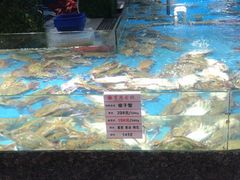 水产区-宝燕海鲜(好爱店)