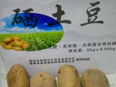 -岳各庄批发市场(西四环中路店)