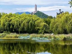 -北坞公园