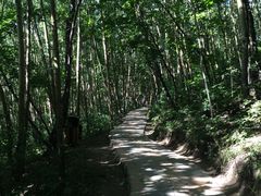 -野三坡百草畔景区