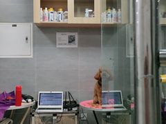 -宠福鑫康馨动物医院·骨科·眼科