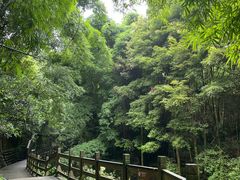 -凤栖山