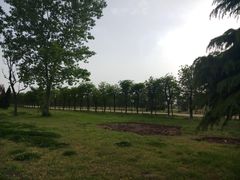 -汉长安城未央宫国家考古遗址公园