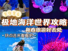 -石家庄极地海洋世界