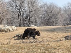 -北京野生动物园