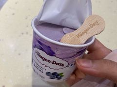 -哈根达斯(石家庄北国店)