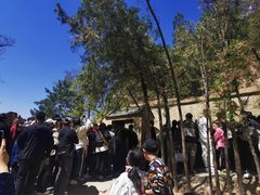 -延安杨家岭革命旧址