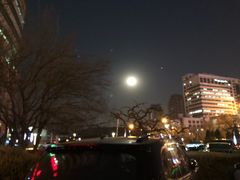 -松子料理(亮马桥店)