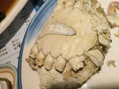 -旺角小渔村(幸福中路店)