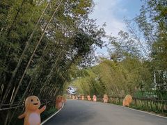 -婺源月亮湾