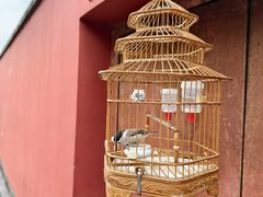 -妙应寺白塔