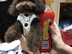 -爱宠屋pet shop·宠物洗澡·宠物美容