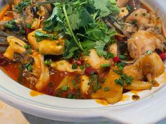 千岛湖有机胖头鱼-魏铭鱼头捞饭(晋阳路店)