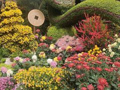 -杭州植物园