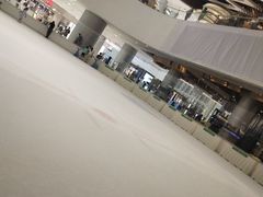 -TheRink大零溜冰场(IFS国金中心店)