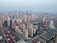 -环球港凯悦 · 享悦中餐厅