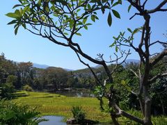 -四季酒店下午茶