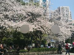 -玛格萝妮比萨屋(四平店)