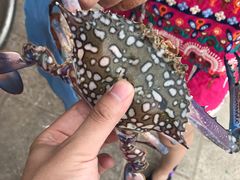 景点-尼甘布海鲜市场