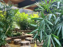 -三江森林温泉度假区