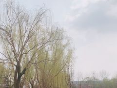 -康庄公园