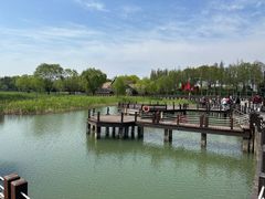 -苏州太湖湖滨国家湿地公园