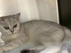 -宠颐生宠物医院·骨外科·犬猫全科诊疗中心(池州店)