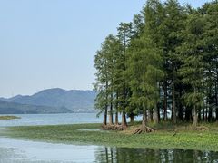 -四明湖