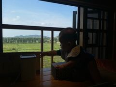 -大赤坎肥仔强烧味海鲜餐厅(大赤坎店)