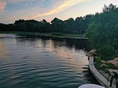 -长春市南湖公园