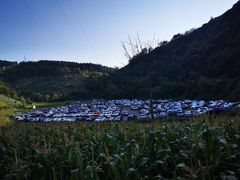 -武陵山森林公园