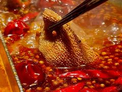 -湊湊火锅·茶憩(南京万象天地店)