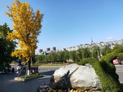 -富乐山