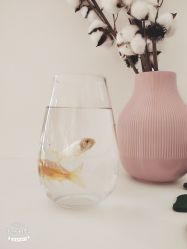 -雅尼·亚米儿童摄影美学馆(汉阳店)