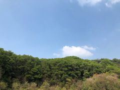 -云溪植物园