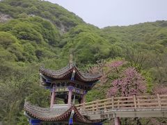 -西安祥峪森林公园